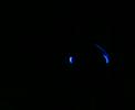 teo  �rd�gbot2