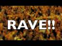 CofC Addlestone Library College of Charleston Flashmob Rave Flash mob Dance Party Chaos Finals Exams