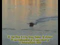 RC Cat Class 2-3 Crazy Costas Greece RC Cat Class 2-3 Crazy Costas Greece