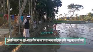 ড্রাম সিডারের সাহায্যে বীজ বপন