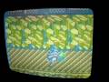 BattleToads NES