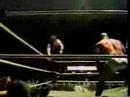 The Brothers Of Destruction The Brothers Of Destruction