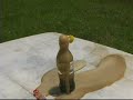 Coca-Cola + Mentos = Explosiva!!!