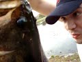 Giant Largemouth Bass caught 14lbs in Florida Giant Largemouth Bass caught 14lbs in Florida