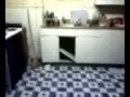 Ownage Video by I cäñ trâñsførm å gòód gürl tø ã frèák ;p - MySpace Video.flv