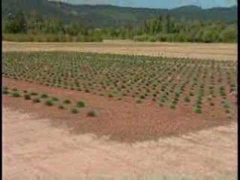 Plant Solutions for Conservation ...