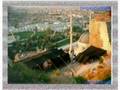 seyfettin sucu