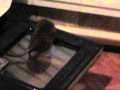 Исследователи - YouTube