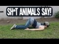 SH*T ANIMALS SAY!