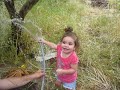 Ernesta bil jardin