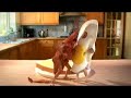 The Man Sandwich