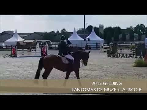 NEN TOFFE DE MUZE 5-YO CLASS GHLIN JUNE 2018