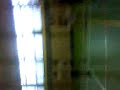 MATE IKER (kanasta haundin)  HERNANI K.E.