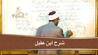 فصل في ما ولا ولات 