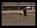 Bora examen agility