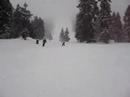 Snowboarding \ Snowboarding \