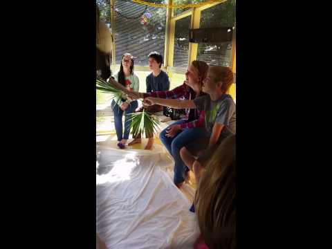 The Lemur Playhouse | Join the Wild Side
