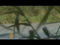 Mexico's deported children - 27 Apr 08