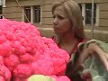 Clipe Couve-Flor Tronco e Membros