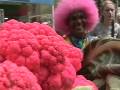 Clipe Couve-Flor Tronco e Membros
