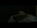 www.habibibruder.de SAW3