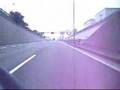 The Monster Duc Critter-Cam #5