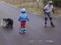 dogs