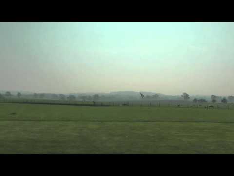 Top Gun Park Flite Piper Cub