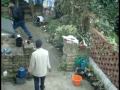 Mr Goody - Mr Wilky's Inspection on his garden