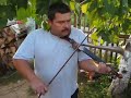 Romanian Vioara Cu Goarne in Bratca 5