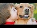 Çocuklar İçin En Uygun 10 Köpek Cinsi