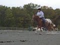 scooter scooter