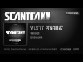 Wasted Penguinz - Within (HQ Preview)