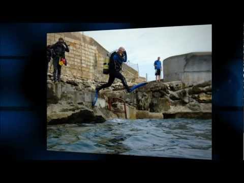 car registrations car registrations