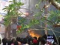news11