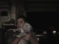 Torque, Blue Nose Pitbull in Temecula, Ca