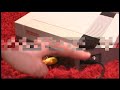 classic-game-room-hd-nes-vs-xbox-360-review.html