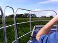 videos de Airboat ride