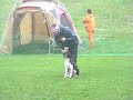 ２００９ＳＨＩＮＹＡ大会最終戦ＡＧラージ