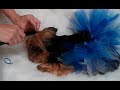 Click here to watch this video Putting a band and bow in Georgia's hair