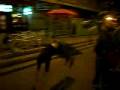 videos de Imagen 457.mov