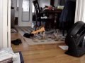 videos de puppy