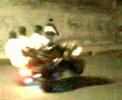 caballito en la calle de deportivo