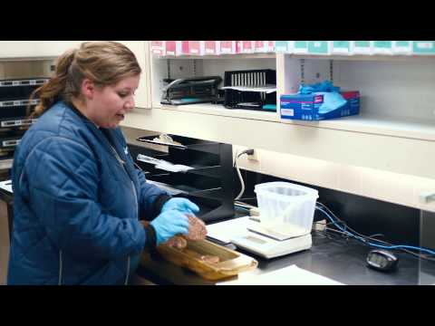 how to treat ammonia