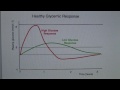 Enjoy Nutrition, Carbohydrates Enjoy Nutrition, Carbohydrates