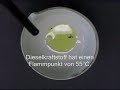 �lbindemittel mit diesel l�sst sich leicht entz�nden.