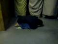 videos de Mosquée Trappes