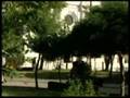 Ver Video