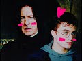 gay-barbie-song-harry-potter.html