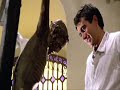 [Fernando Arrabal] L'albero di Guernica http://www.youtube.com/watch?v=7y5n211fVls